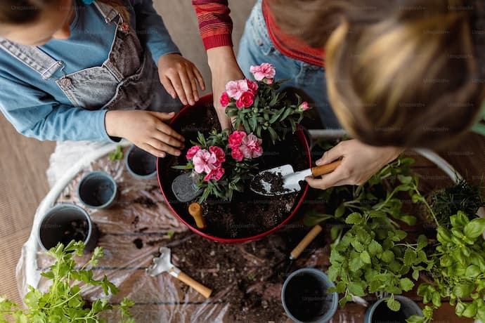 자연에서 얻는 천연 방충제 – 해충을 막아주는 식물 5가지