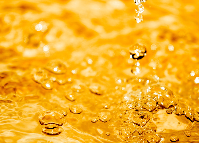 금꿈 해몽 풀이