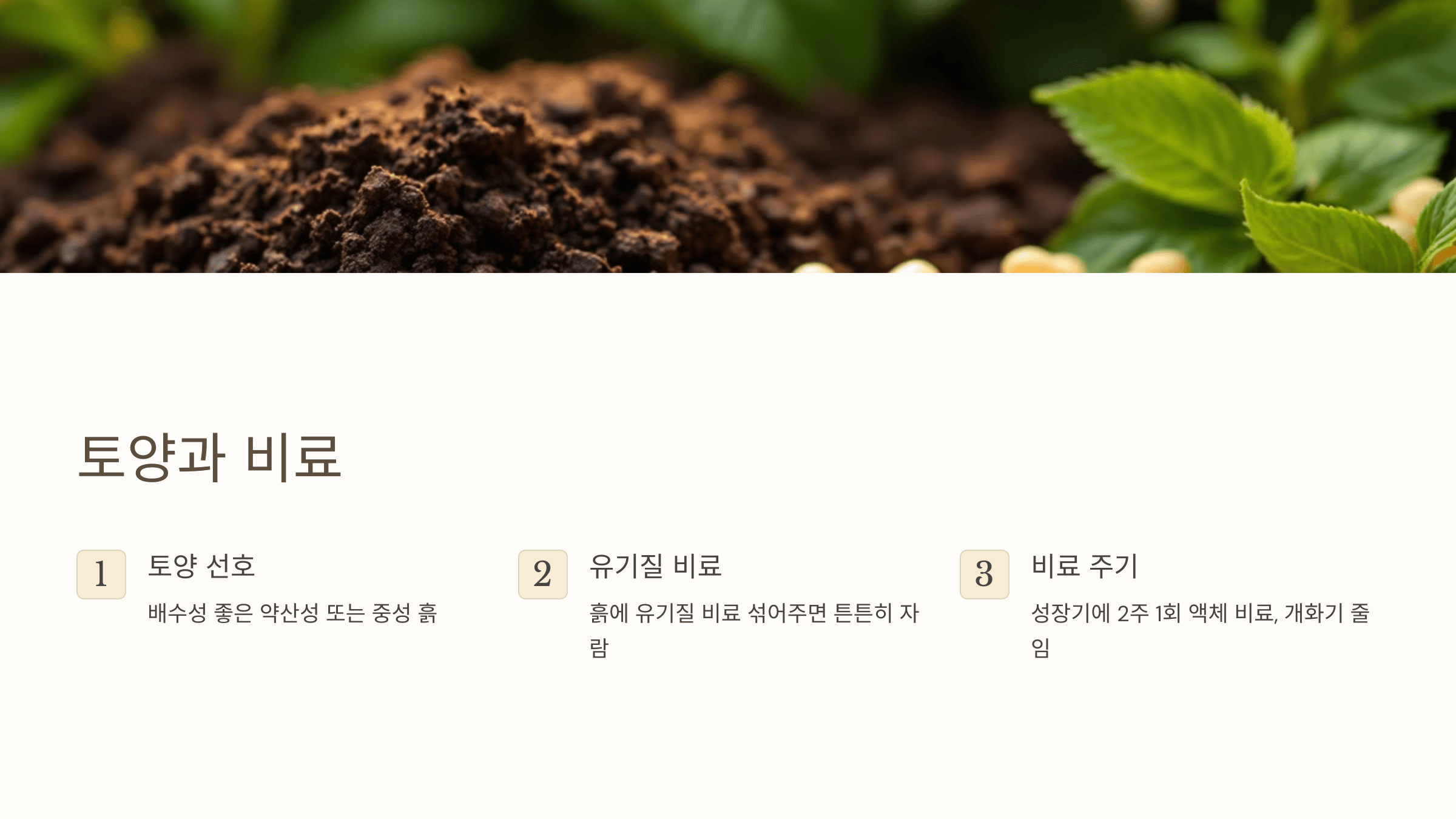 국화꽃과 관련된 사진입니다.