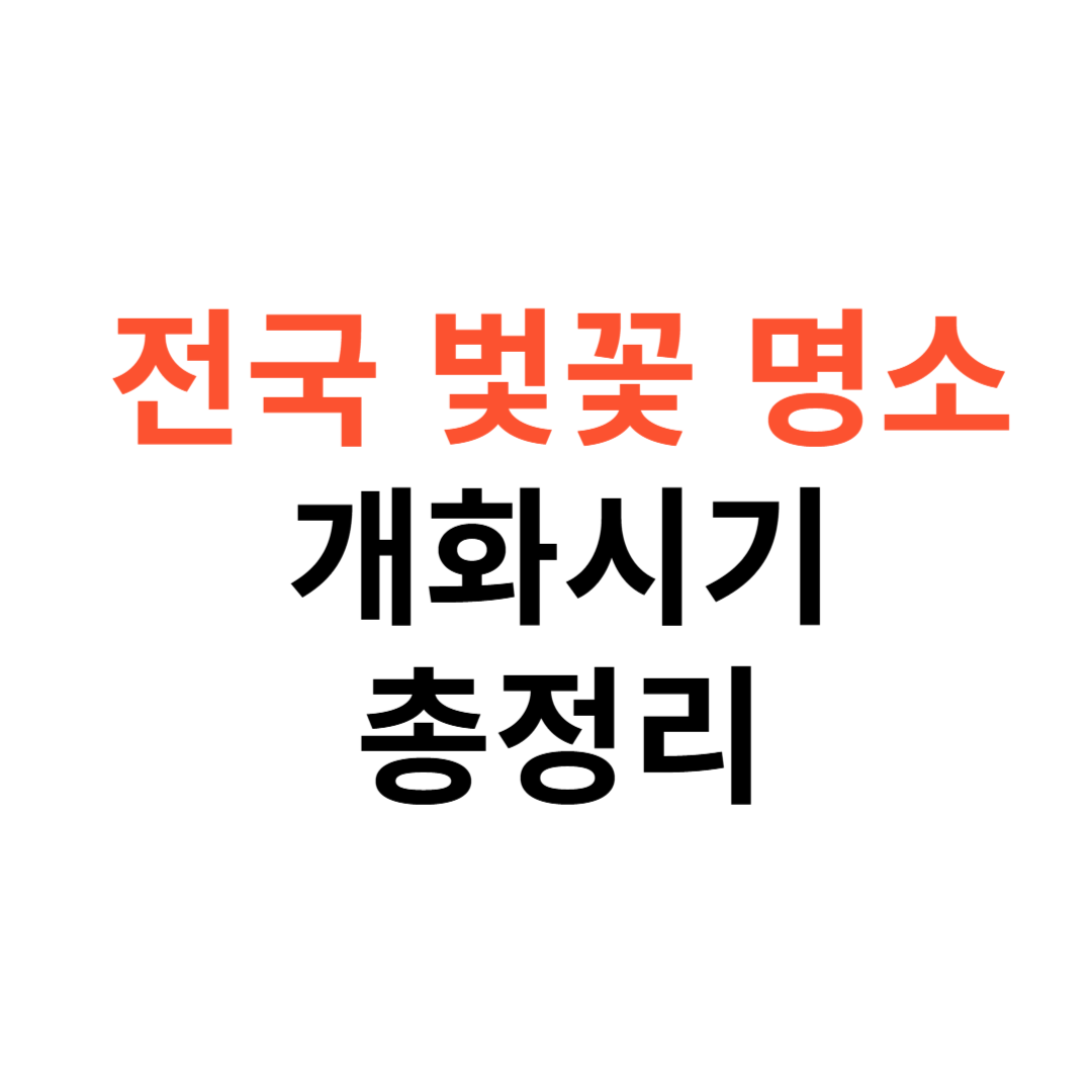 전국 벚꽃 명소와 개화 시기