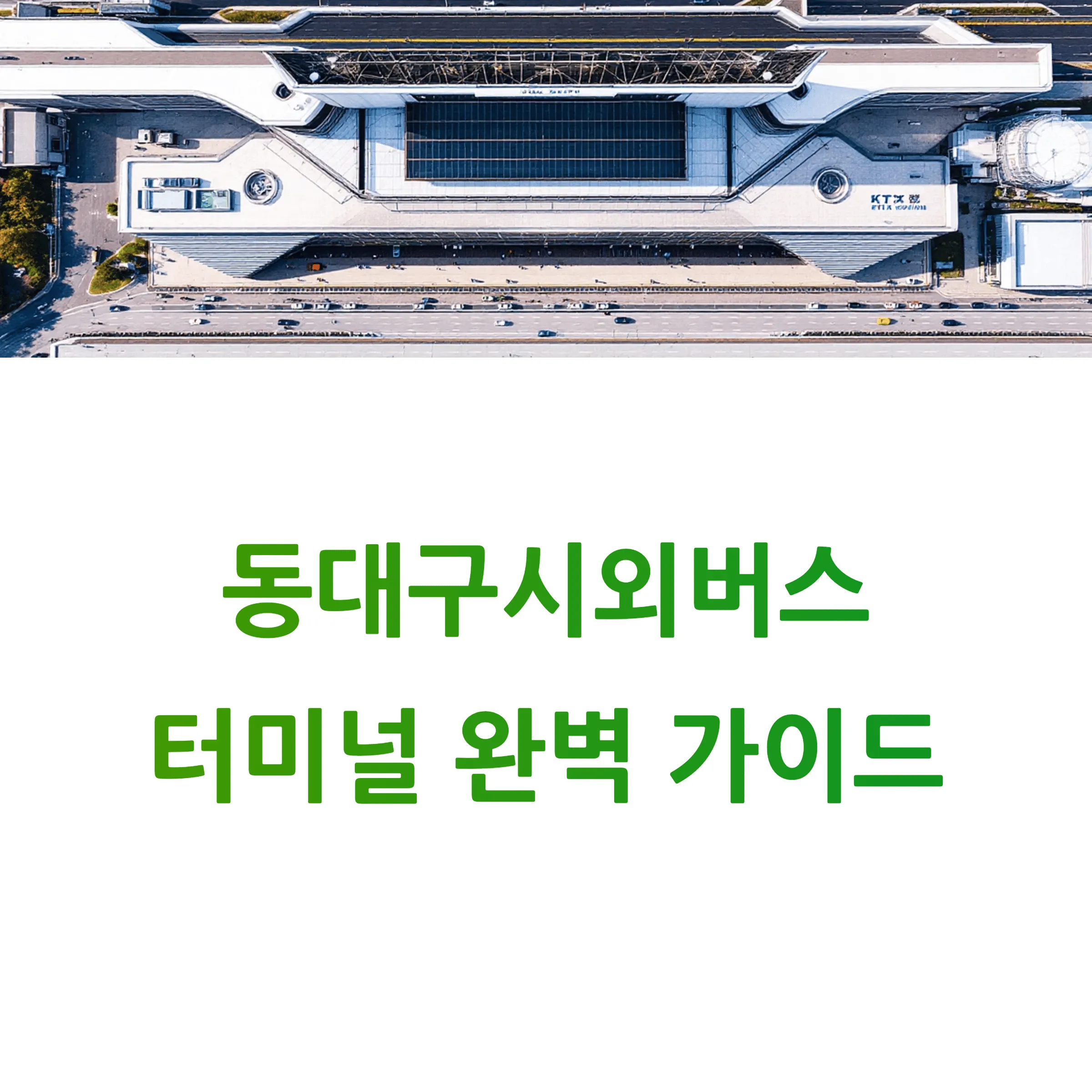 동대구시외버스터미널 시간표 완벽 가이드