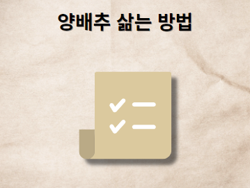 양배추 맛있게 삶는 방법