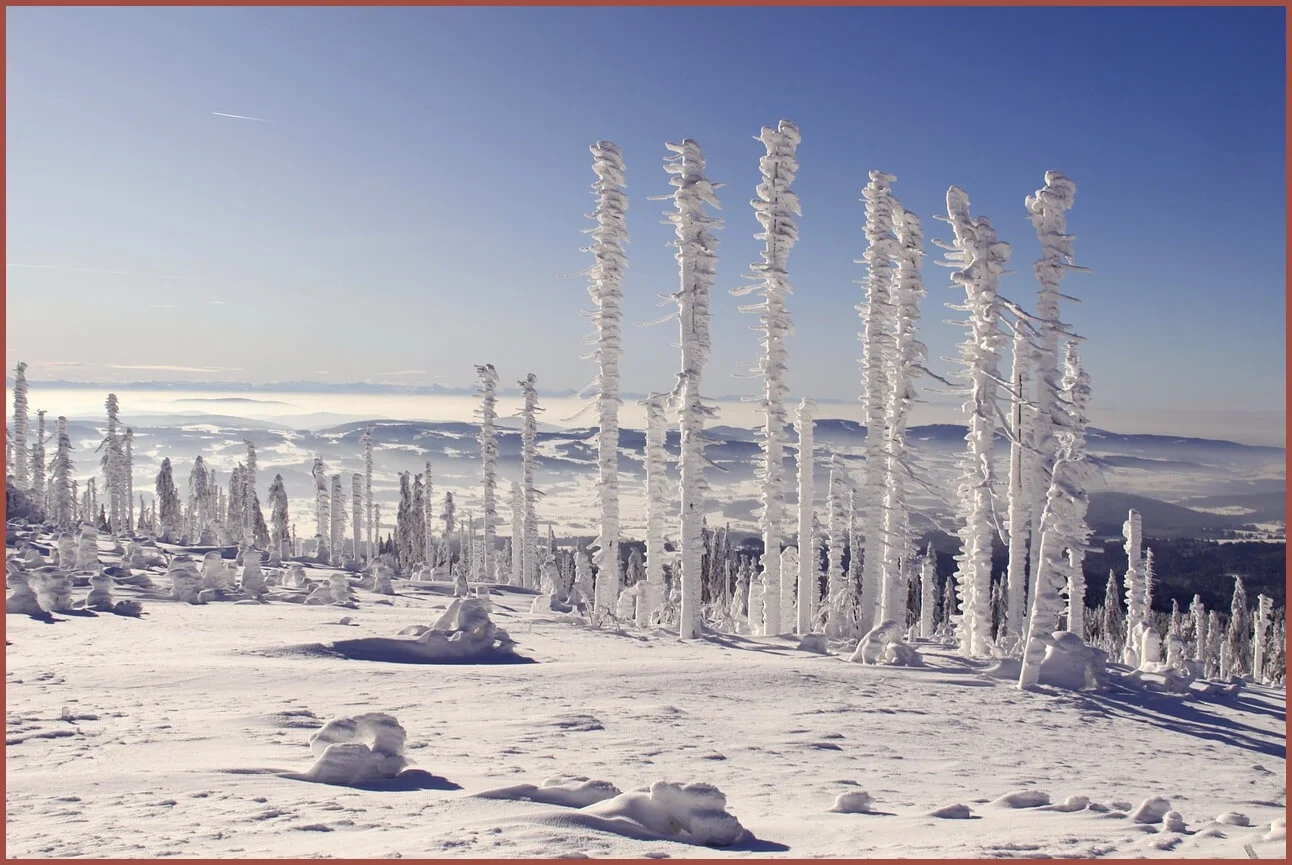 정기예금 이율높은곳