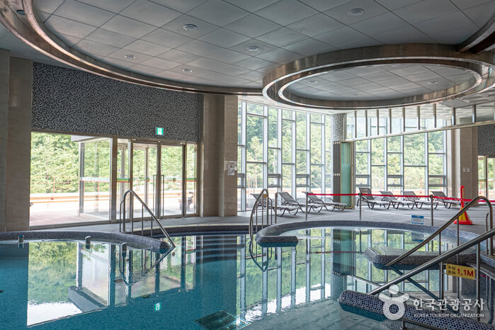 디톡스 여행 추천지_영주 국립산림치유원&amp;#44; 충주 깊은산속 옹달샘&amp;#44; 정선 파크로쉬&amp;#44; 홍천 힐리언스 선마을