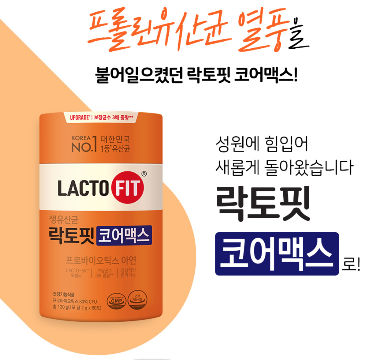 락토핏코어맥스와 락토핏 골드, 코어 중 어떤 것이 좋은가요?