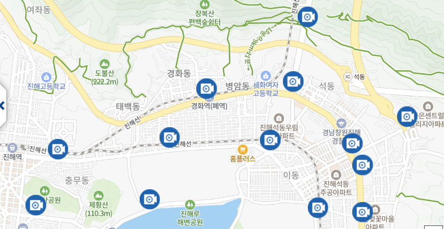 2025 진해 군항제