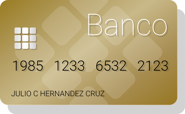 자동차세 연납신청