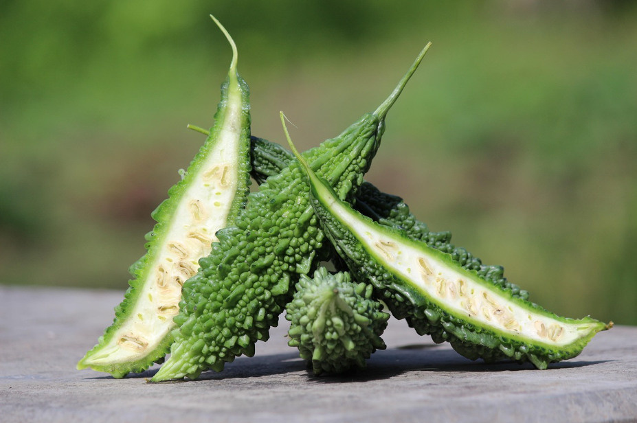 혈당 조절의 강자, 여주의 모든 것 &ndash; 효능부터 주의사항까지