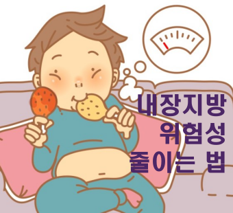 내장-지방의-위험성-관련-사진