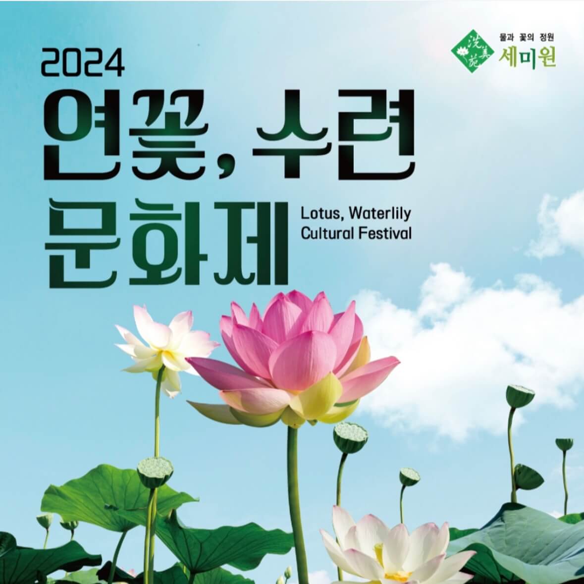 세미원 연꽃축제