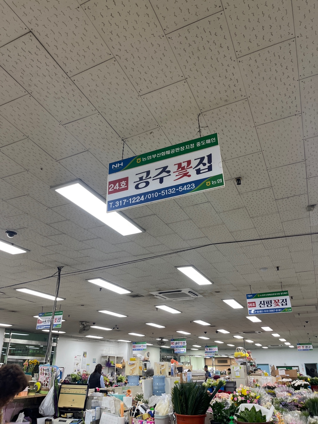 엄궁화훼단지 공주꽃집
