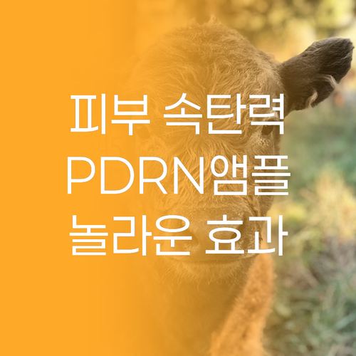 피부 속부터 차오르는 탄력, PDRN