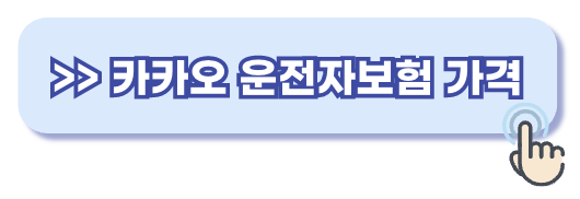 카카오 원데이 자동차보험 가격