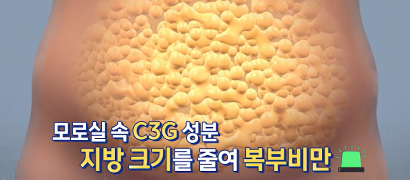 모로실 효능