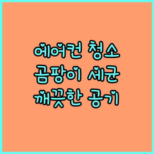 에어컨 필터 청소: 곰팡이 세균 없이