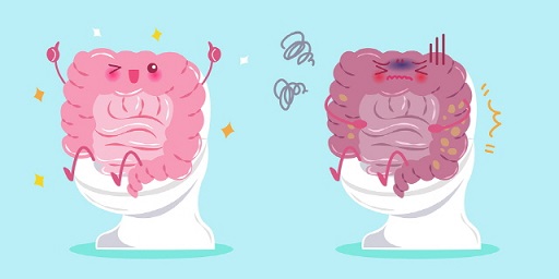 글의 이해를 돕기 위한 장의 건강상태