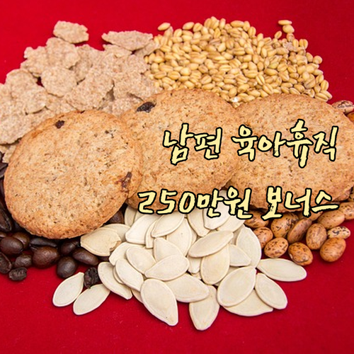 내 남편도 육아휴직? 공동육아급여 2..