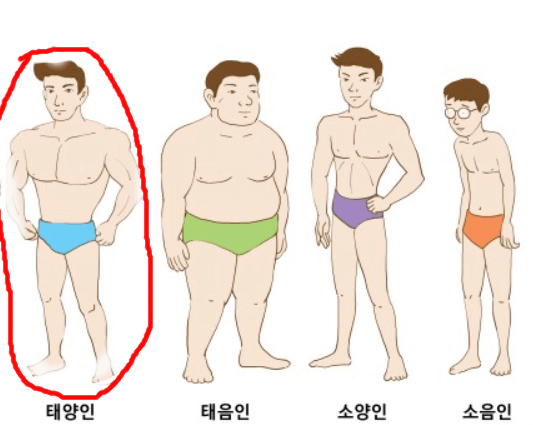 보양식