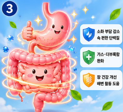 hw-3단백질-효능-종류-구매-가격-추천-제품