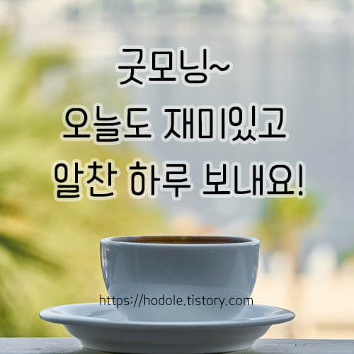 기쁜모닝의