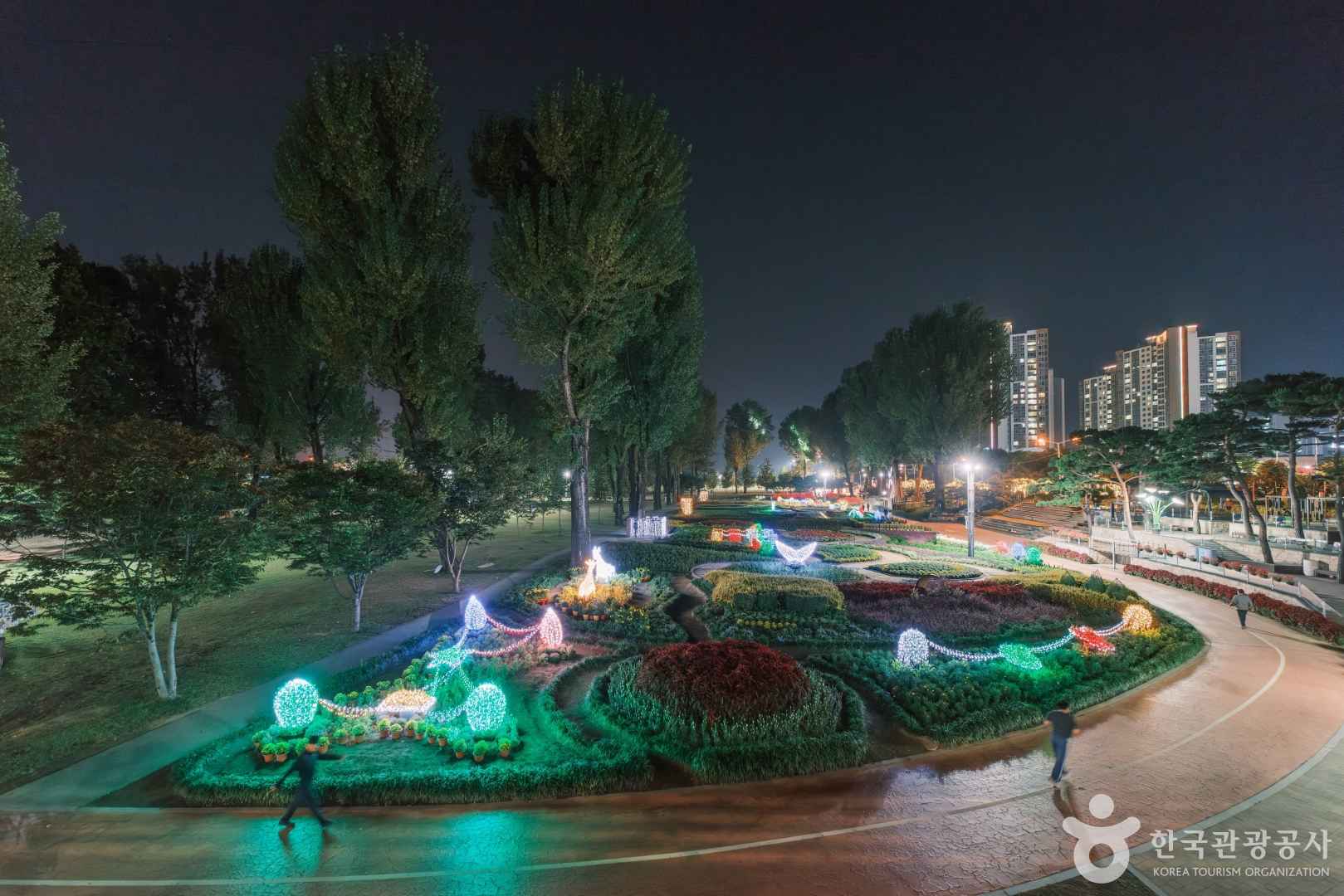 보강천 미루나무 숲