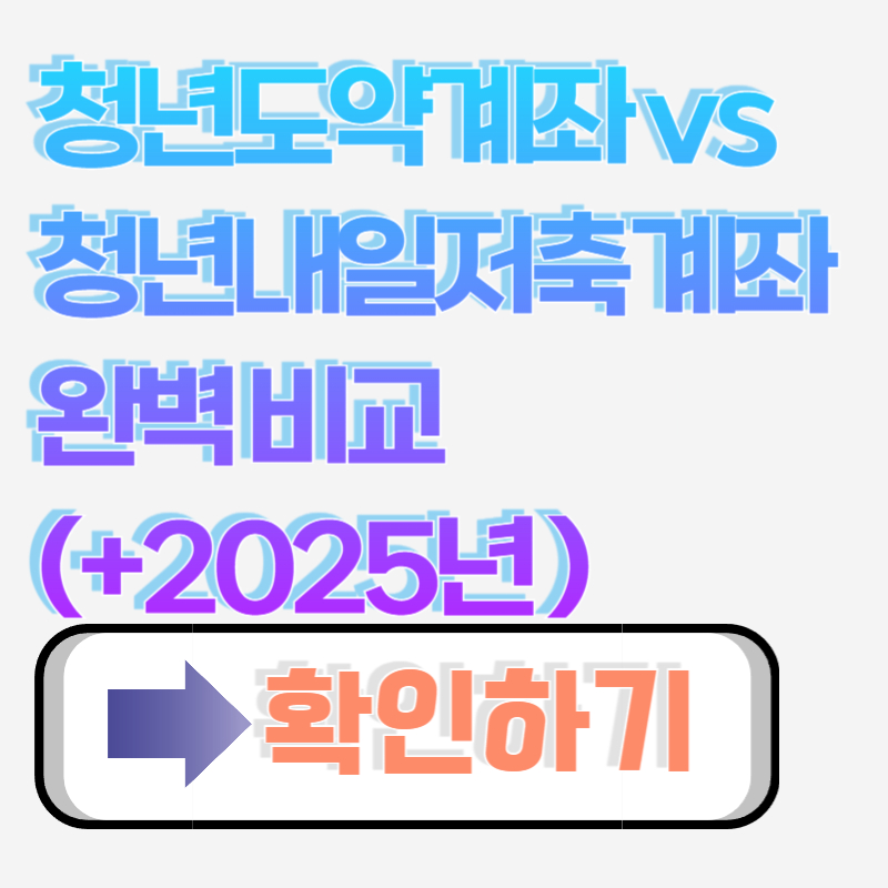 청년도약계좌 vs 청년내일저축계좌 완벽 비교 (2025년 최신)