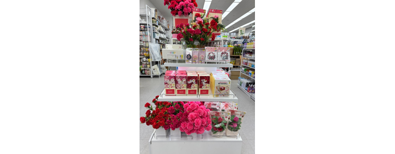 창원 의창구 종합생활용품 다이소