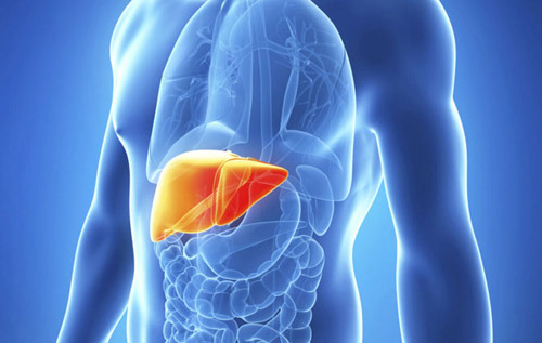 간기능에 좋은 음식