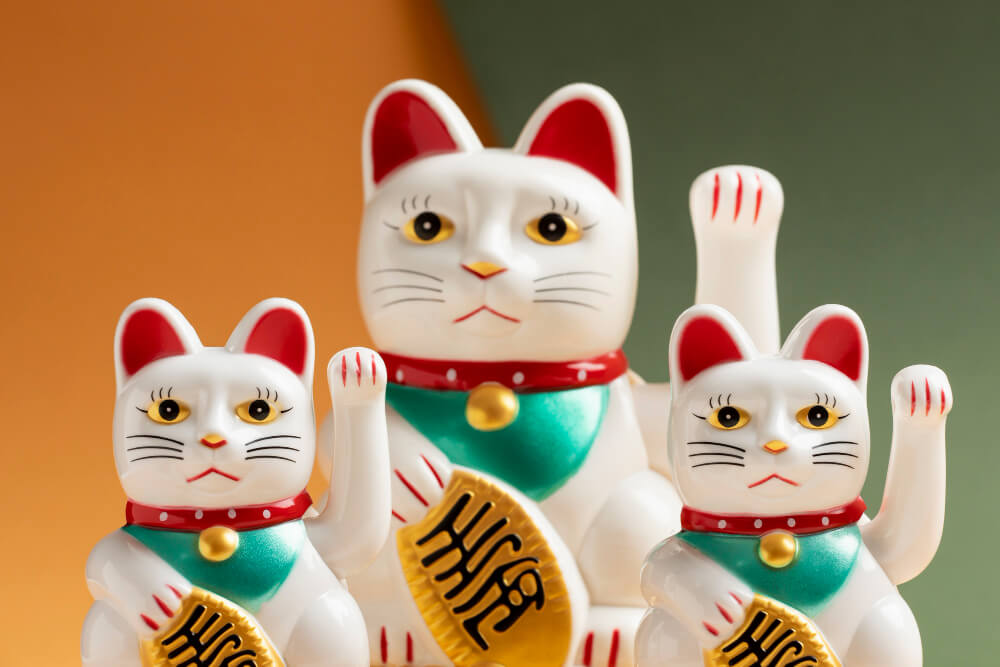「길고양이와 함께 사는 일본&amp;#44; 마치네코 제도란? 🐾한국과 이렇게 다르다」 