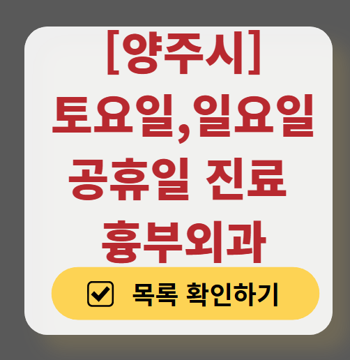 양주시 주말 토요일 일요일 흉부외과 진료 병원 목록 ❘ 공휴일 진료 영업 병원 리스트 찾기