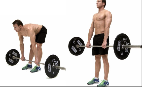 스티프 레그 데드리프트