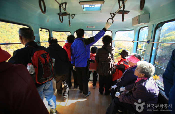 내장산 케이블카 예약방법, 요금, 운행시간, 주차장 총정리