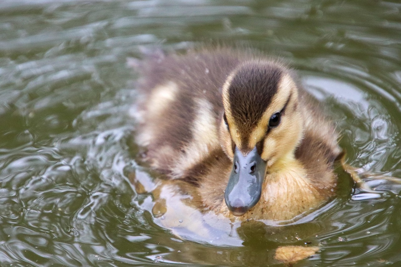 보청기 국가보조금 지원