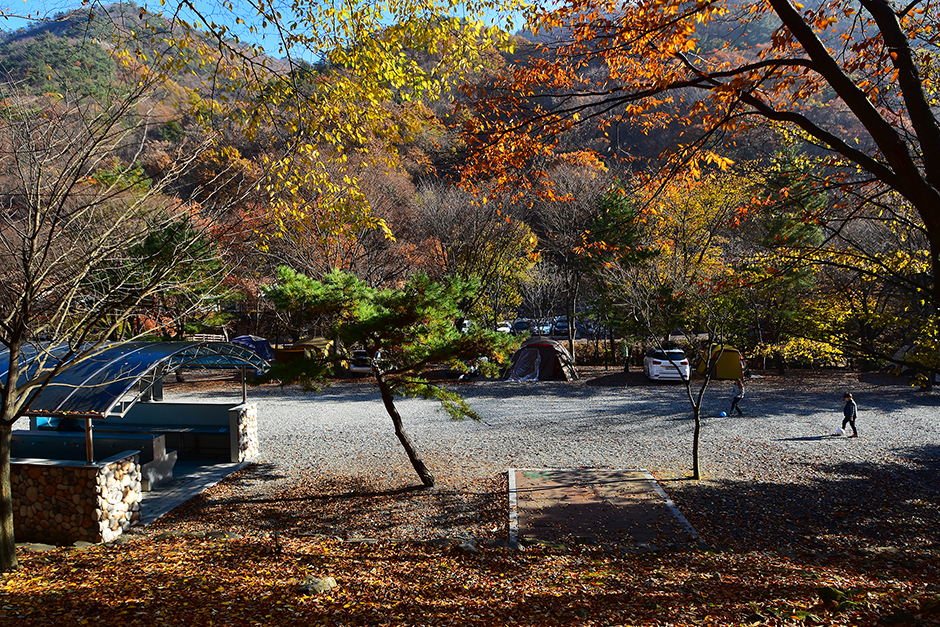 금산 가볼만한곳 베스트10
