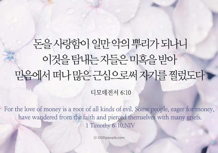 디모데전서 4장 12절 묵상 - 누구든지 네 연소함을 업신여기지 못하게 하고 믿는 자에게 본이 되어_6