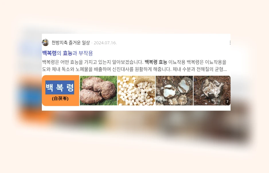 백복령 효능_3_subsection