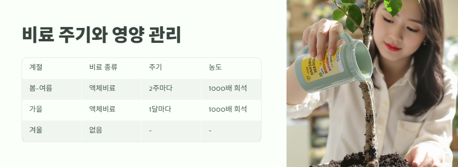 행운목 키우는 방법 바로 보기 7
