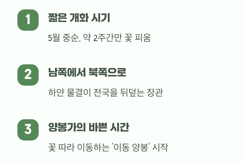5월의 산을 뒤덮는 하얀 향연