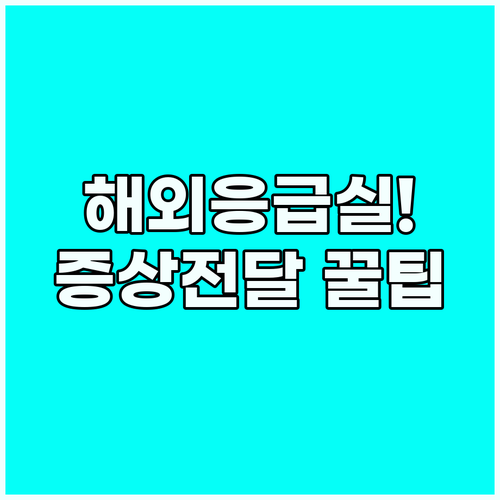 해외 응급실 통증 부위와 증상 정확하..