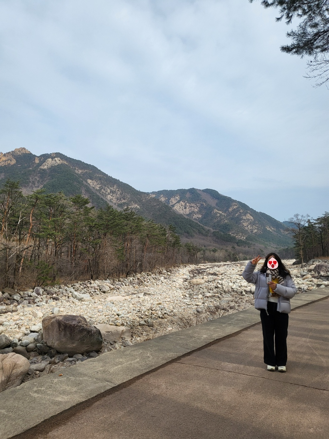 설악산 케이블카 대기 결국 포기! 비룡폭포 대신 선택한 용담폭포와 출렁다리 아이와 함께한 겨울 산행(토요일)