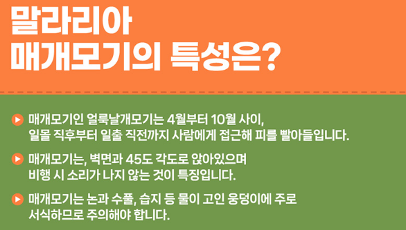 말라리아 모기 설명