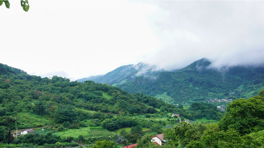 하동 지리산