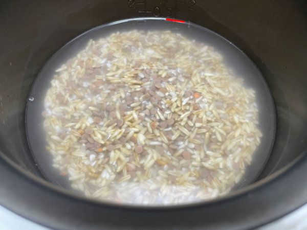 저속노화밥 물양