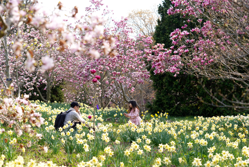 목련원 / 산정목련원