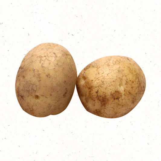 부직포 보온 덮개 설치 팁