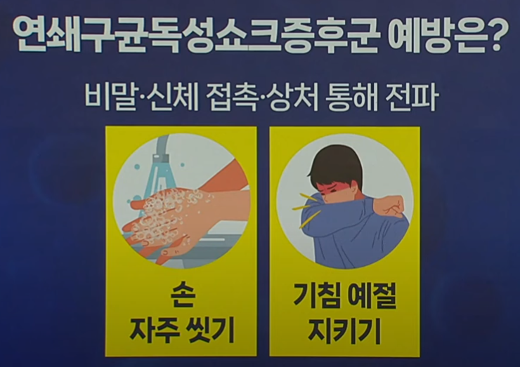 일본 전염병 STSS 관련주 수혜주