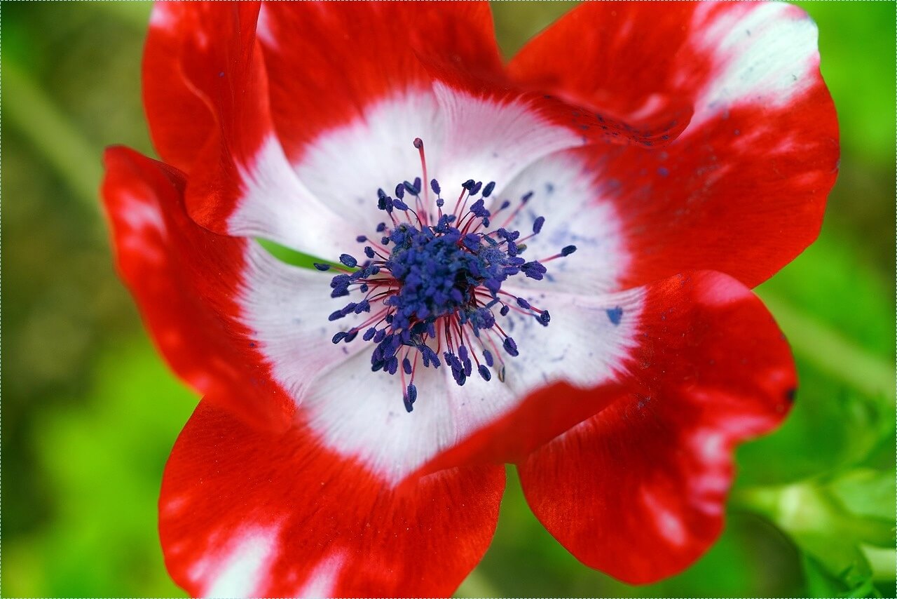 적금 이율 높은 은행