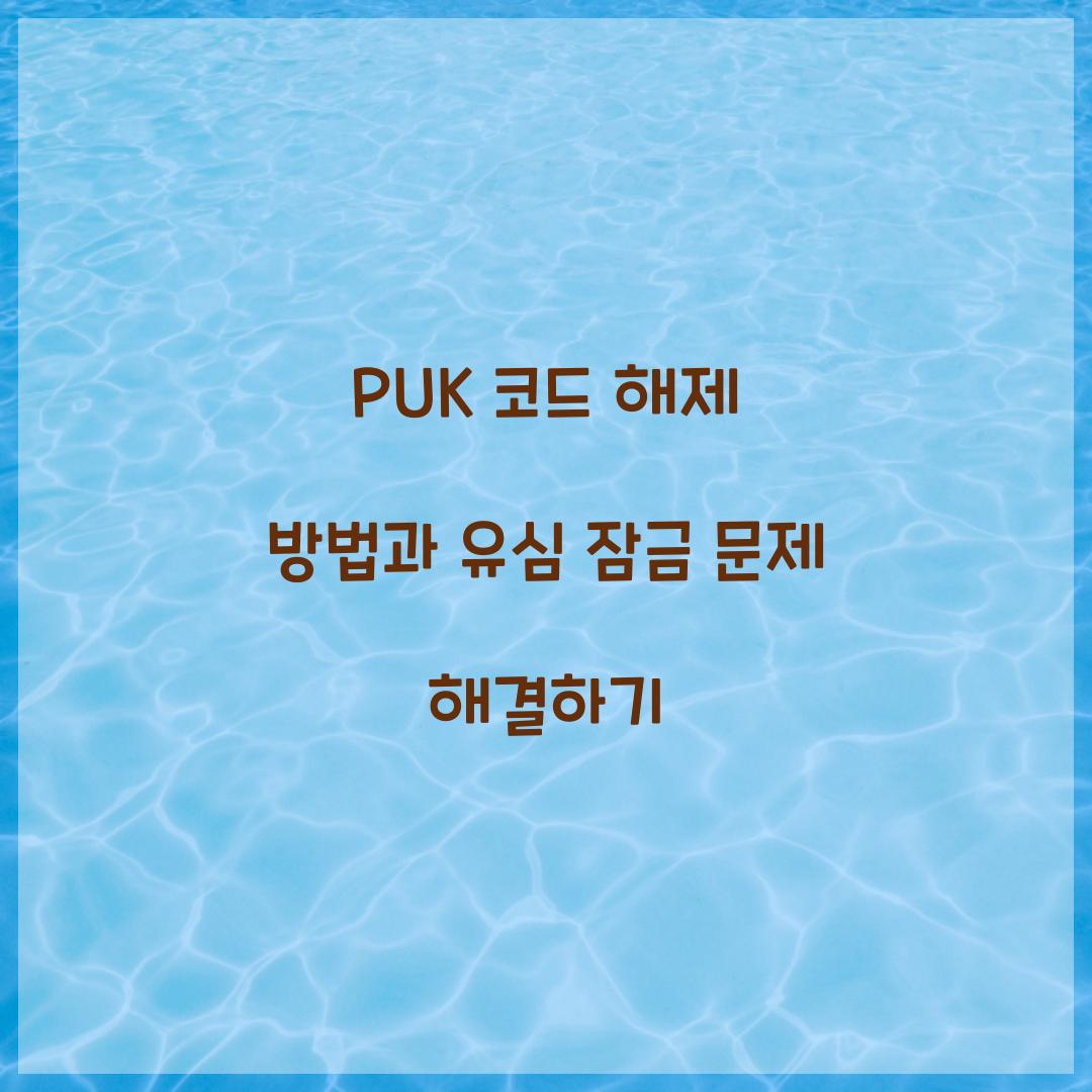 PUK 코드 해제 방법