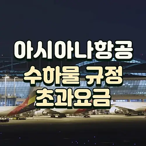 아시아나항공-수하물-규정-초과요금-알아보기