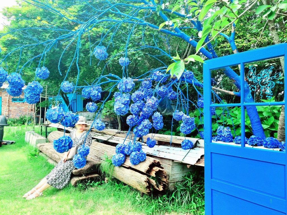 충남 당진 아미미술관: 현대미술&amp;#44; 수국&amp;#44; 야외 조형물&amp;#44; 인스타그램 감성 포토존